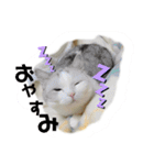 元気なこうめくん（個別スタンプ：17）
