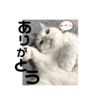 元気なこうめくん（個別スタンプ：18）