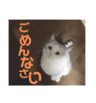 元気なこうめくん（個別スタンプ：19）