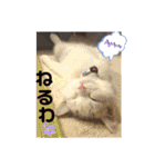 元気なこうめくん（個別スタンプ：22）