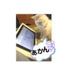 元気なこうめくん（個別スタンプ：23）