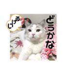 元気なこうめくん（個別スタンプ：24）