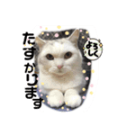 元気なこうめくん（個別スタンプ：26）