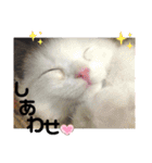 元気なこうめくん（個別スタンプ：28）