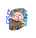 元気なこうめくん（個別スタンプ：29）