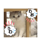 元気なこうめくん（個別スタンプ：31）