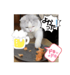 元気なこうめくん（個別スタンプ：32）