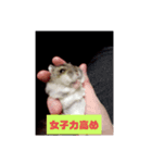 I LOVEハムスター3（個別スタンプ：6）