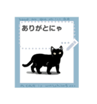 黒猫 おしゃべりにゃん（個別スタンプ：24）