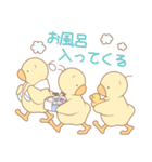 ひよこの3兄弟 1（個別スタンプ：23）