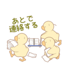 ひよこの3兄弟 1（個別スタンプ：24）