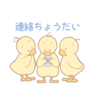 ひよこの3兄弟 1（個別スタンプ：25）