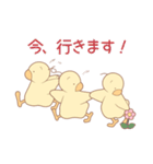 ひよこの3兄弟 1（個別スタンプ：30）