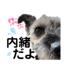 ペットの里の犬達のスタンプ(犬ver)（個別スタンプ：23）