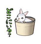 うさたんの普段使いスタンプ（個別スタンプ：27）