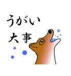 柴犬ワンちゃん（個別スタンプ：5）