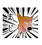 柴犬ワンちゃん（個別スタンプ：6）