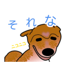 柴犬ワンちゃん（個別スタンプ：7）