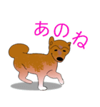 柴犬ワンちゃん（個別スタンプ：8）