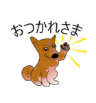 柴犬ワンちゃん（個別スタンプ：10）