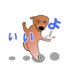 柴犬ワンちゃん（個別スタンプ：17）