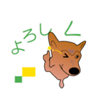 柴犬ワンちゃん（個別スタンプ：20）