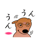 柴犬ワンちゃん（個別スタンプ：22）