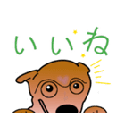 柴犬ワンちゃん（個別スタンプ：24）