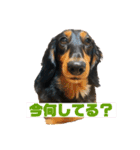 しーぬん＆やぽ（個別スタンプ：2）