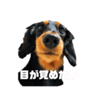 しーぬん＆やぽ（個別スタンプ：10）