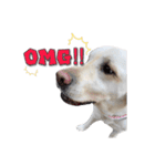 Saran's daily greeting✿︎（個別スタンプ：9）