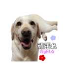 Saran's daily greeting✿︎（個別スタンプ：14）