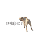Saran's daily greeting✿︎（個別スタンプ：15）