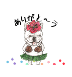 フレンチブルドッグのフラちゃん（個別スタンプ：3）