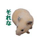 キンクマハムスターのくま子（個別スタンプ：23）