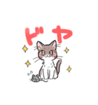 しーねこスタンプ（個別スタンプ：15）