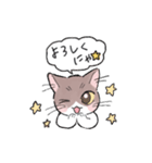 しーねこスタンプ（個別スタンプ：20）