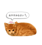 ちゃーぽむのスタンプ（個別スタンプ：2）