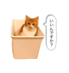 ちゃーぽむのスタンプ（個別スタンプ：11）