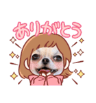 ダックスと6チワワ（個別スタンプ：4）