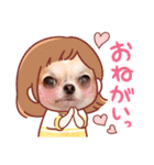 ダックスと6チワワ（個別スタンプ：5）