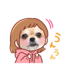 ダックスと6チワワ（個別スタンプ：6）