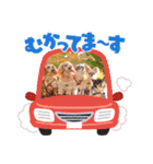 ダックスと6チワワ（個別スタンプ：27）