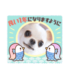 ダックスと6チワワ（個別スタンプ：38）