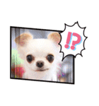 ダックスと6チワワ（個別スタンプ：39）