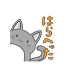 ねこペン。(日常)（個別スタンプ：13）