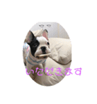 フレンチパラダイス（個別スタンプ：2）