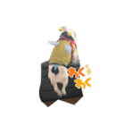 フレンチパラダイス（個別スタンプ：6）