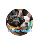 フレンチパラダイス（個別スタンプ：8）