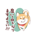 柴わんこの敬語（個別スタンプ：2）